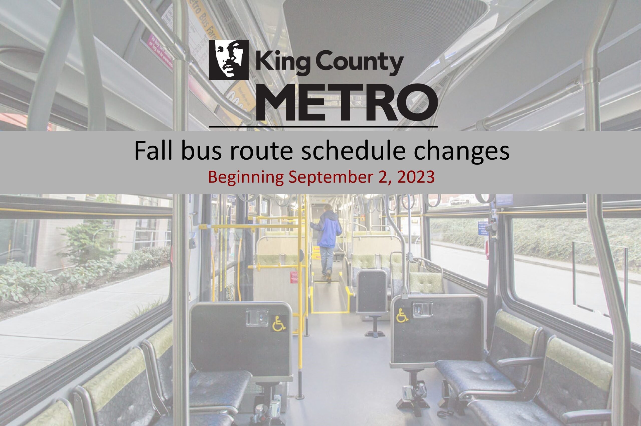 Bx19 Bus Route Schedule - lbir9cj